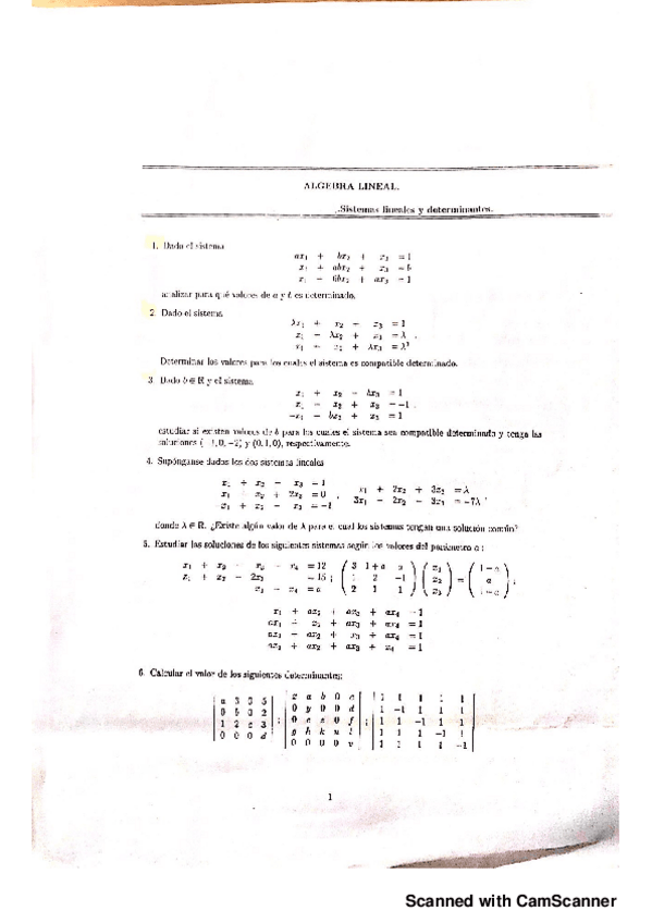 Miniatura del documento Sistemas lineales y determinantes (ejercicios corregidos resueltos).pdf