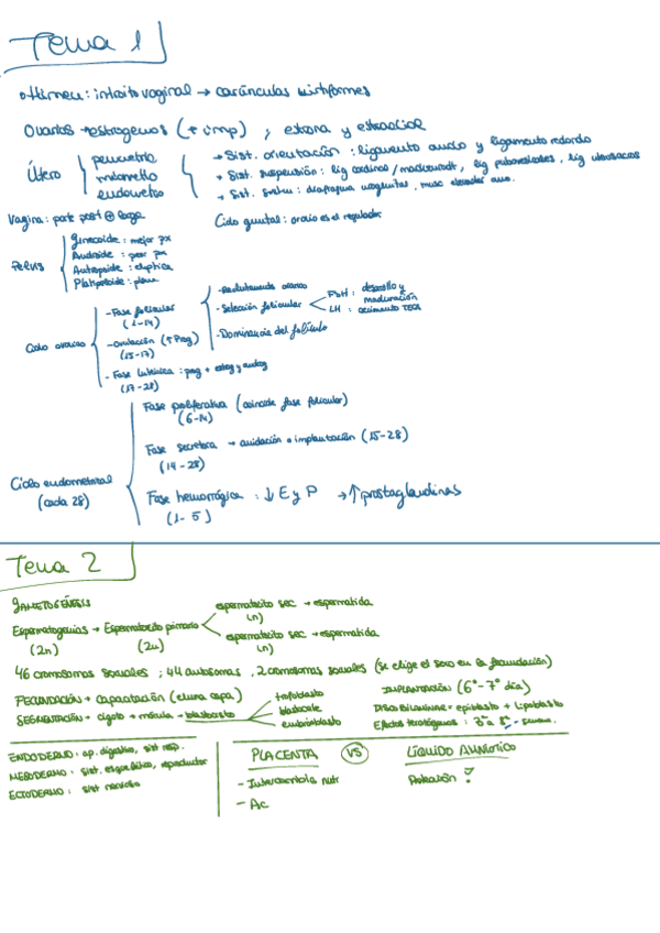 Miniatura del documento Lo-que-mas-cae-materno-1p.pdf