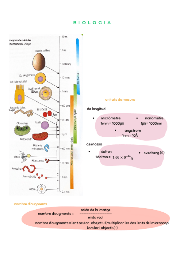 Miniatura del documento biologia-cellula.pdf
