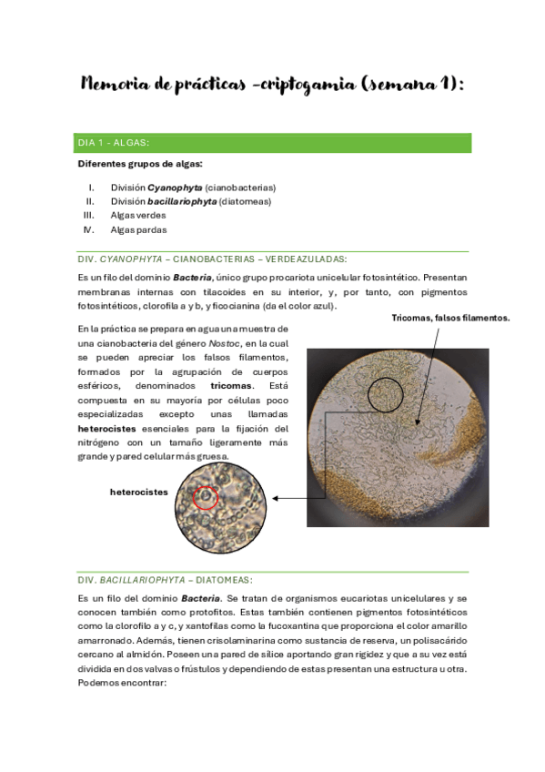 Miniatura del documento Memoria-de-practicas-semana-1.pdf