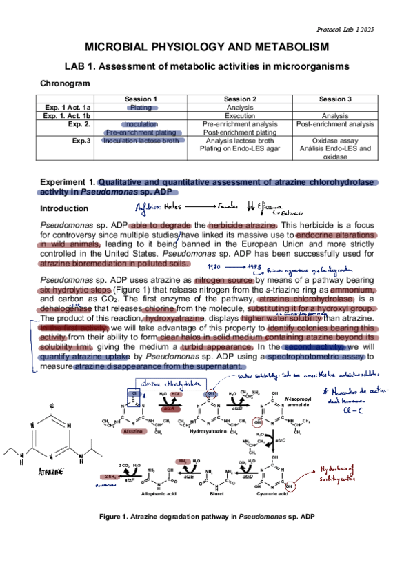Miniatura del documento Apuntes-Practicas-Completos.pdf