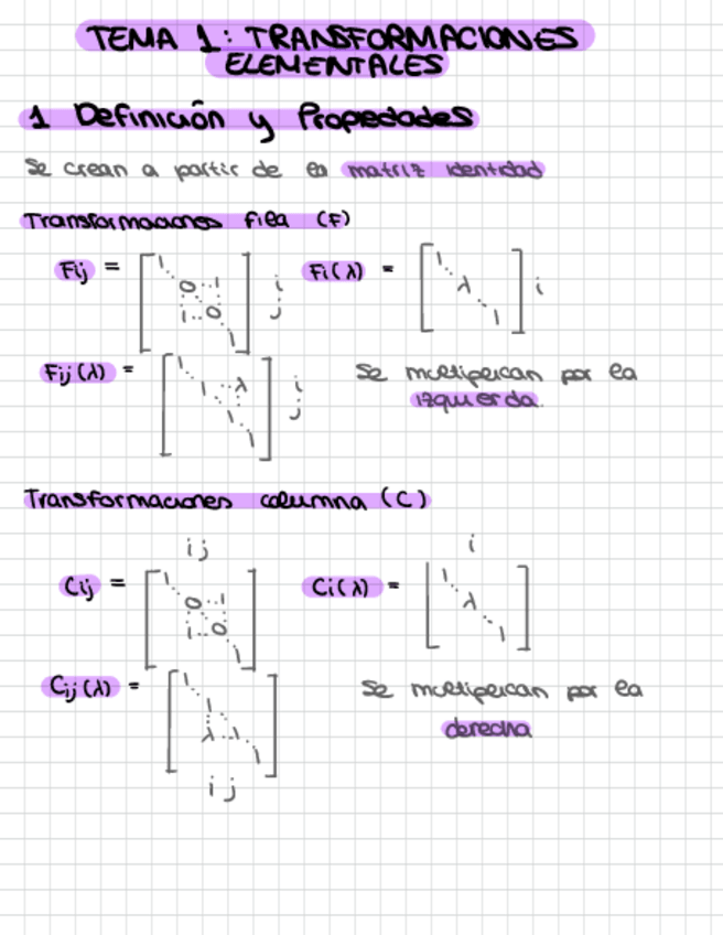 Miniatura del documento ResumenT1ALN.pdf