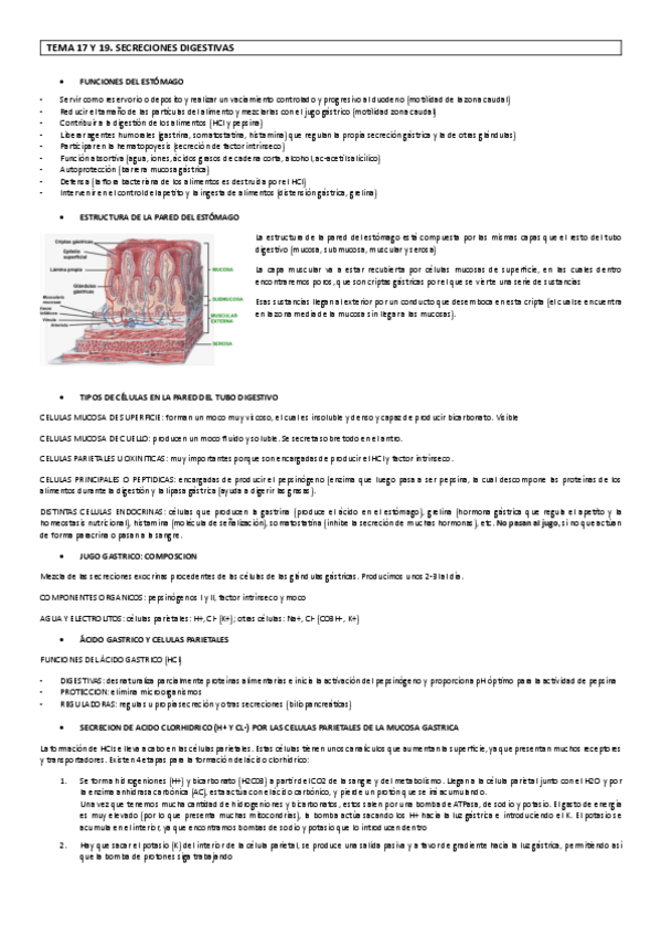 Miniatura del documento fisio1719.pdf