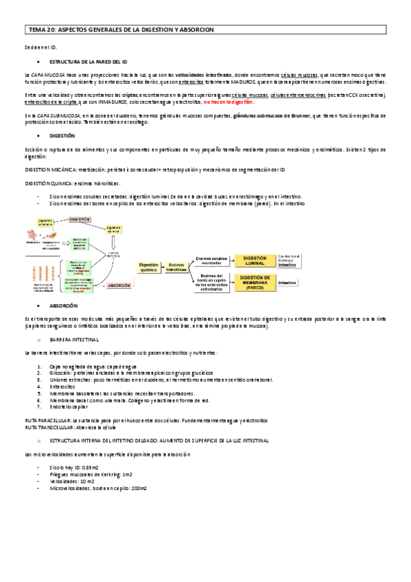 Miniatura del documento fisio20.pdf
