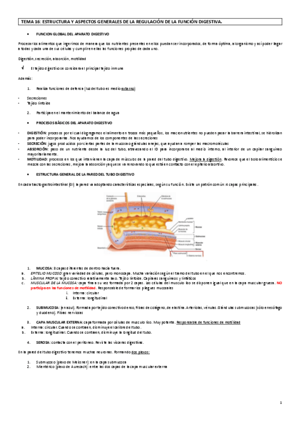 Miniatura del documento fisio16.pdf