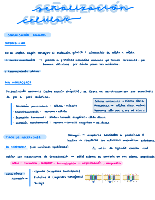 Miniatura del documento Senalizacion-Celular.pdf