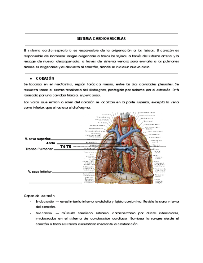 Miniatura del documento SISTEMA-CARDIOVASCULAR.pdf
