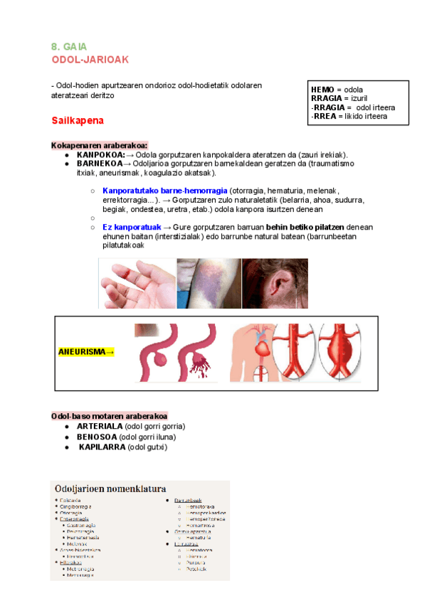 Miniatura del documento ODOL-JARIOAK.pdf