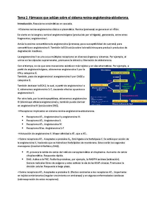 Miniatura del documento Farmacos-influyen-en-sistema-RAA-Tema-2.pdf