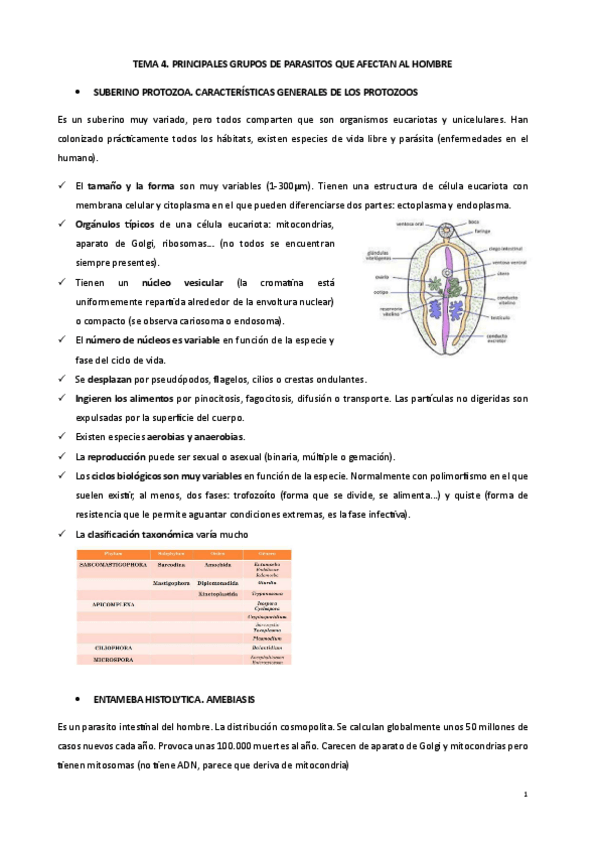 Miniatura del documento TEMA4.-PRINCIPALES-GRUPOS-DE-PARASITOS-QUE-AFECTAN-AL-HOMBRE.pdf