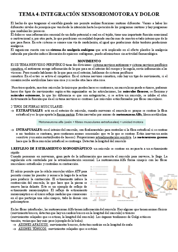 Miniatura del documento TEMA-4..pdf