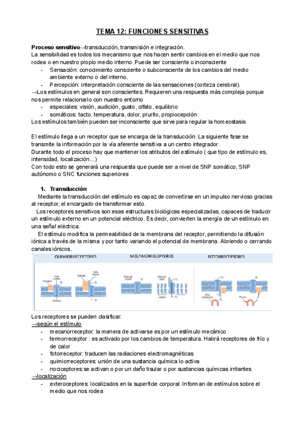 Miniatura del documento TEMA-12-FISIO.pdf