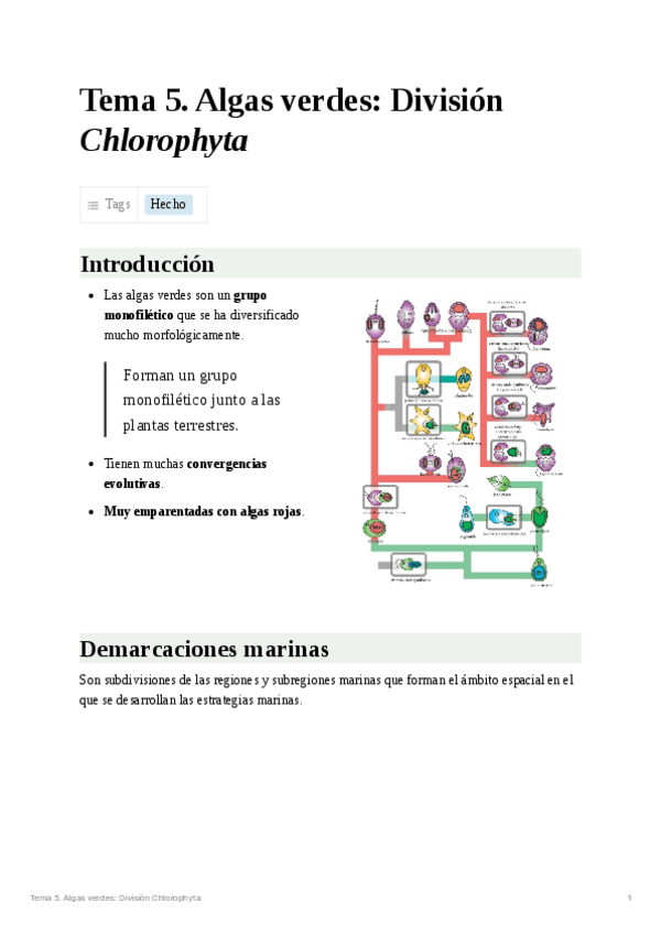 Miniatura del documento Tema 5. Alga verdes: Phyllum Chlorophyta.pdf