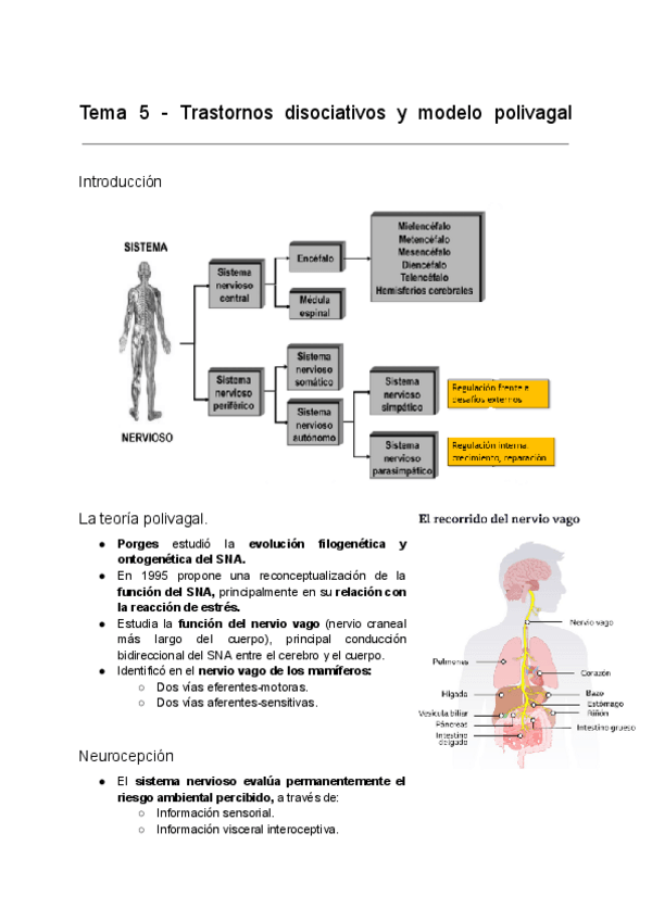 Miniatura del documento Tema-5-Trastornos-disociativos-y-modelo-polivagal-1.pdf