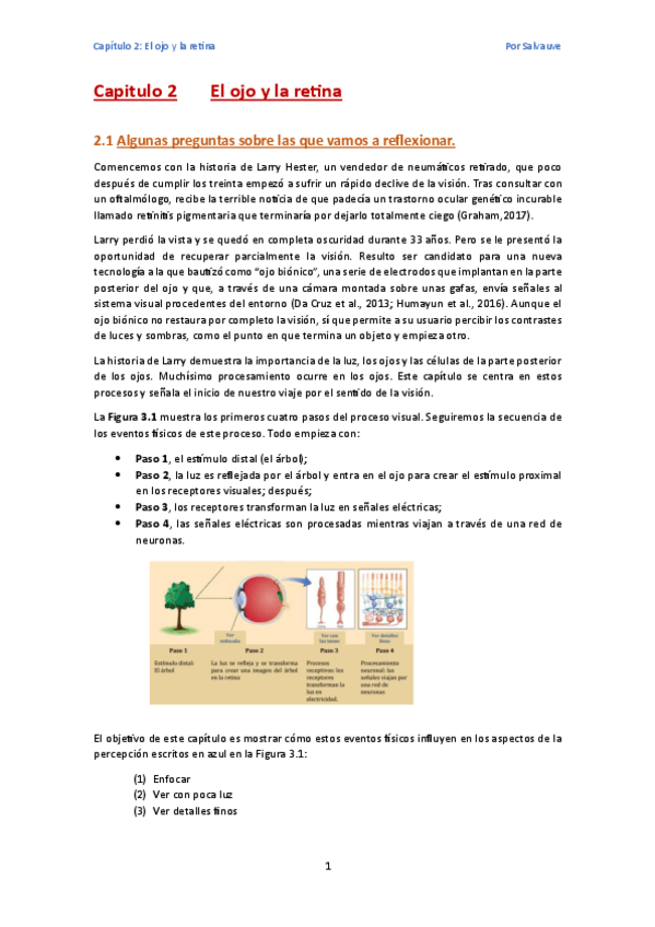 Miniatura del documento tema-2-El-ojo-y-la-retina.pdf