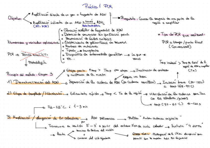 Miniatura del documento Practicas-Bioquimica-Clinica.pdf