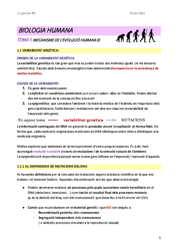 Miniatura del documento BH-1r-parcial-tema-1.pdf