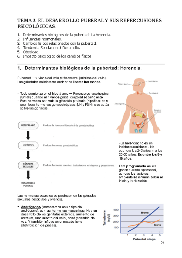 Miniatura del documento desarrollo-II-tema-3.pdf