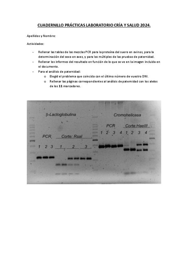 Miniatura del documento Cuaderno-de-practica-de-laboratorio.pdf