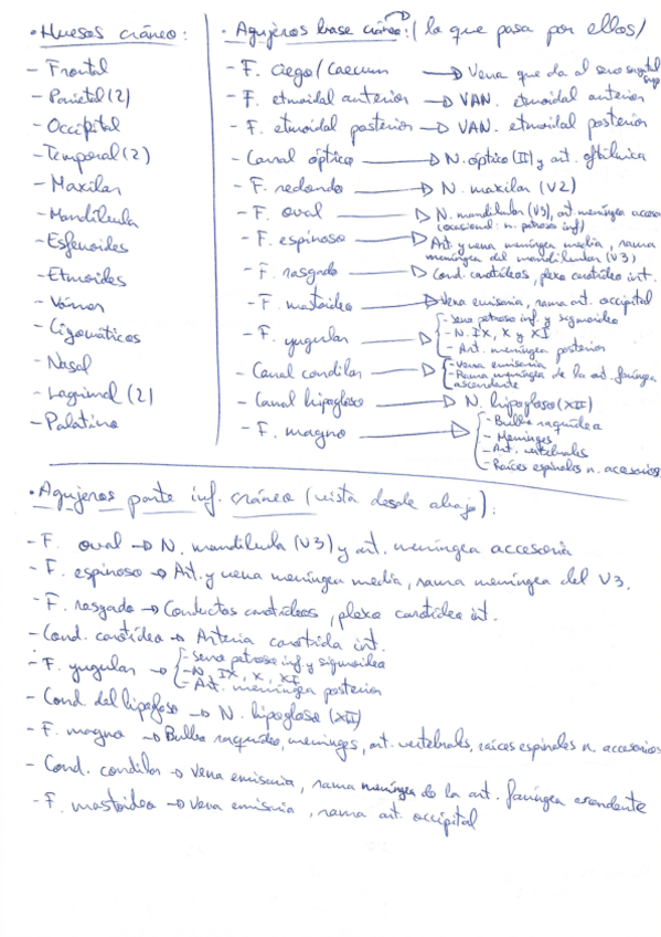 Miniatura del documento TEMAS-5-7-NERVIOSO-RESUMEN.pdf