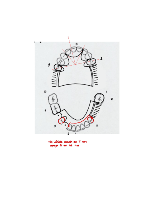 Miniatura del documento Casos-Esqueleticos-corregidos.pdf