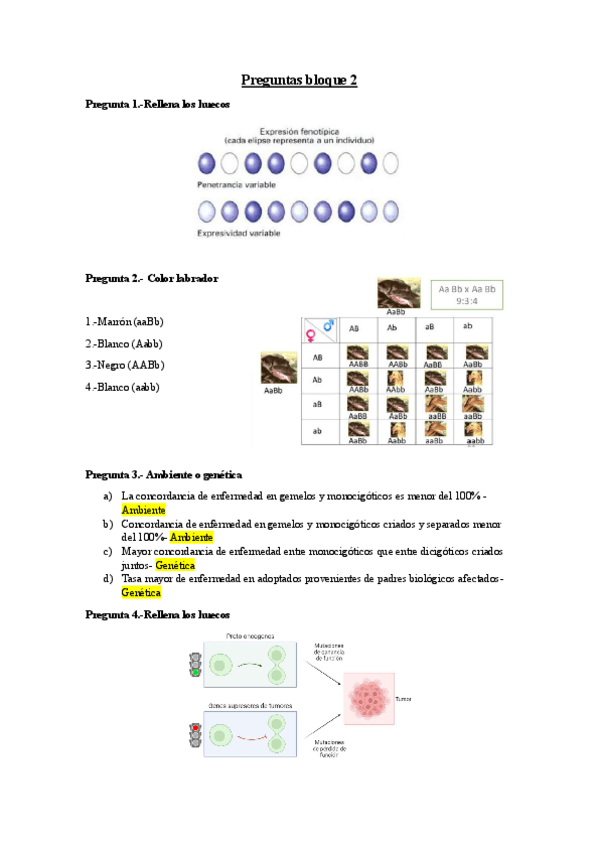 Miniatura del documento Cuestionario-bloque-2.pdf