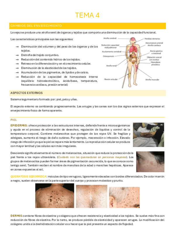 Miniatura del documento Tema-4.pdf