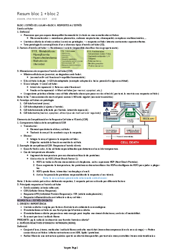 Miniatura del documento resum-bloc-1-i-2.pdf