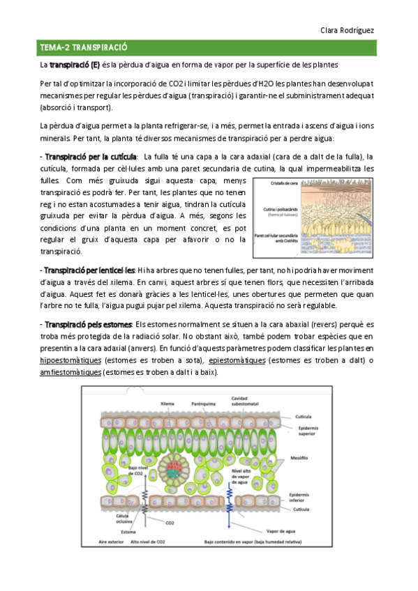 Miniatura del documento tema-2-3.pdf