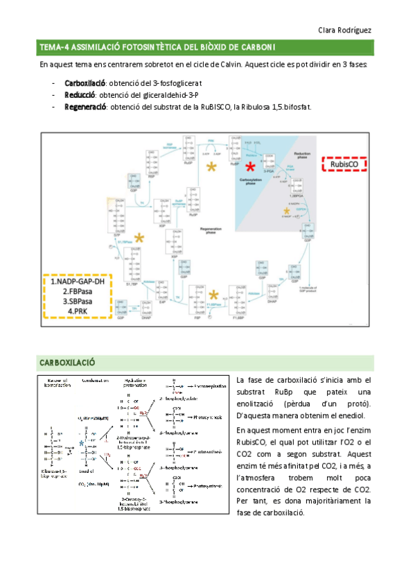 Miniatura del documento tema-4-5.pdf