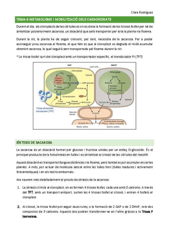 Miniatura del documento tema-6-7.pdf
