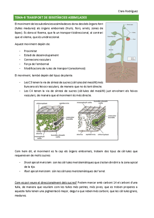 Miniatura del documento tema-8-10.pdf