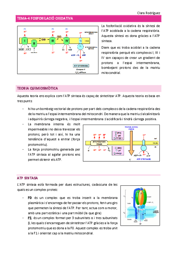 Miniatura del documento tema-4-6.pdf