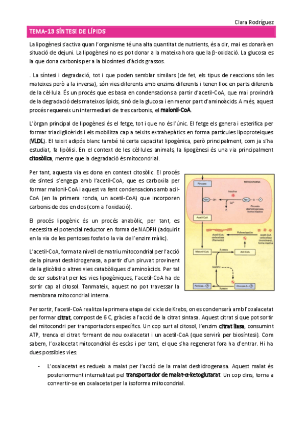 Miniatura del documento tema-13-14.pdf