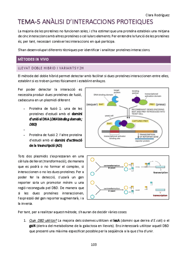 Miniatura del documento tema-5.pdf