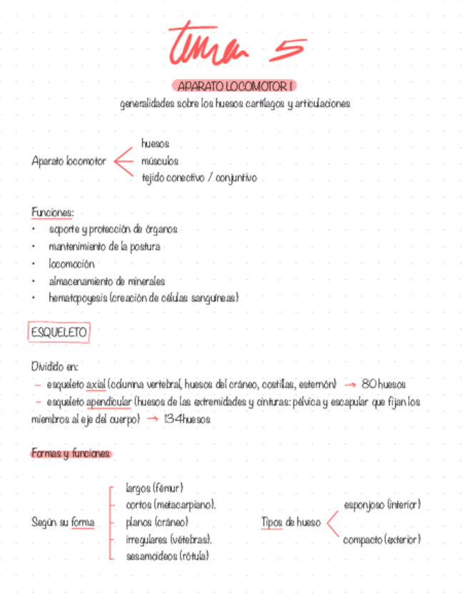 Miniatura del documento tema-5-aparato-locomotor-I.pdf