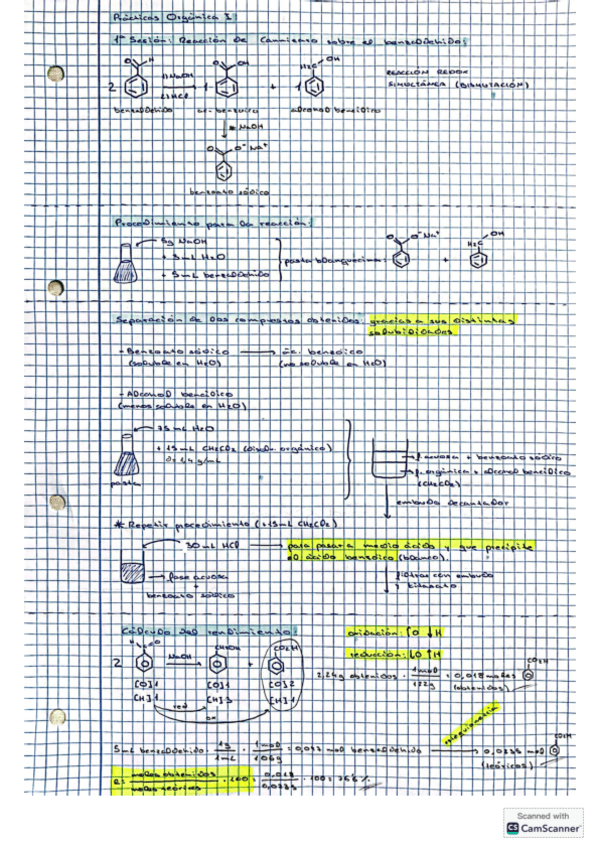 Miniatura del documento RESUMEN-PRACTICAS-ORGANICA.pdf