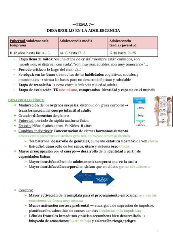 Miniatura del documento TEMA-7.pdf