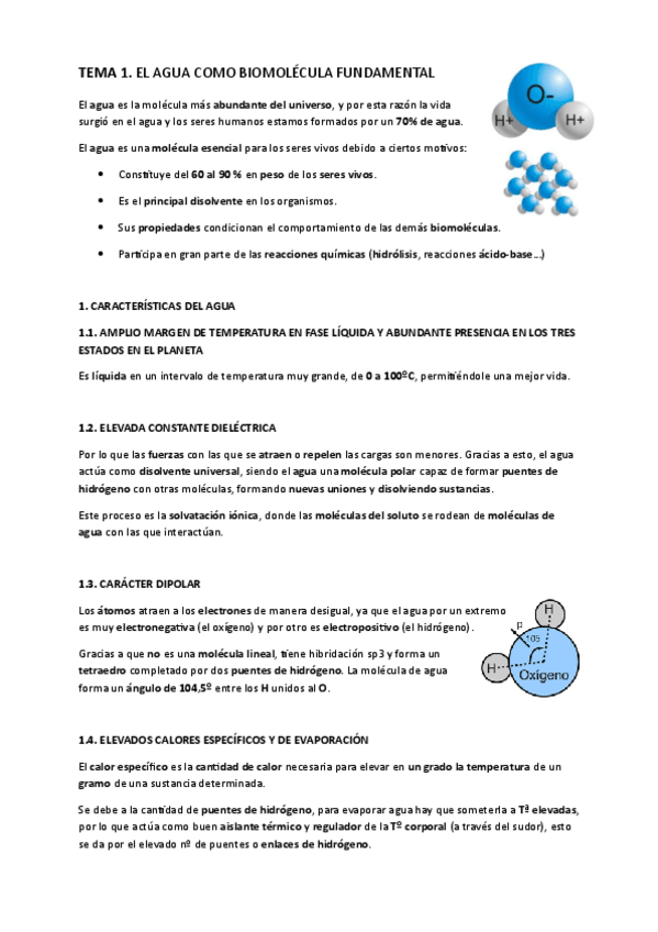 Miniatura del documento TEMA-1.-El-agua-como-biomolecula-fundamental.pdf