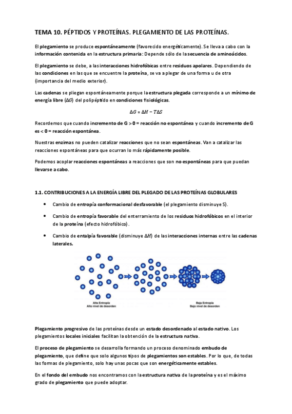 Miniatura del documento TEMA-10.-Peptidos-y-proteinas.-Plegamiento-de-las-proteinas..pdf