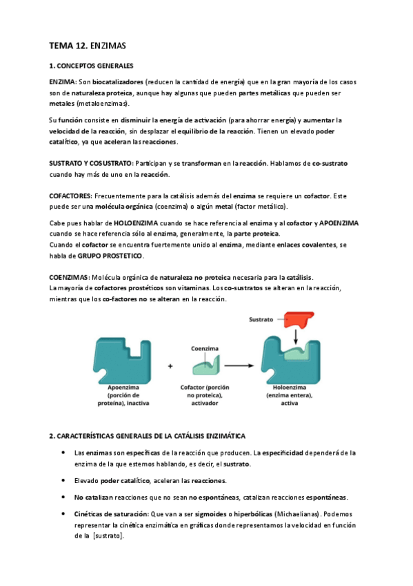 Miniatura del documento TEMA-12.-Enzimas.pdf