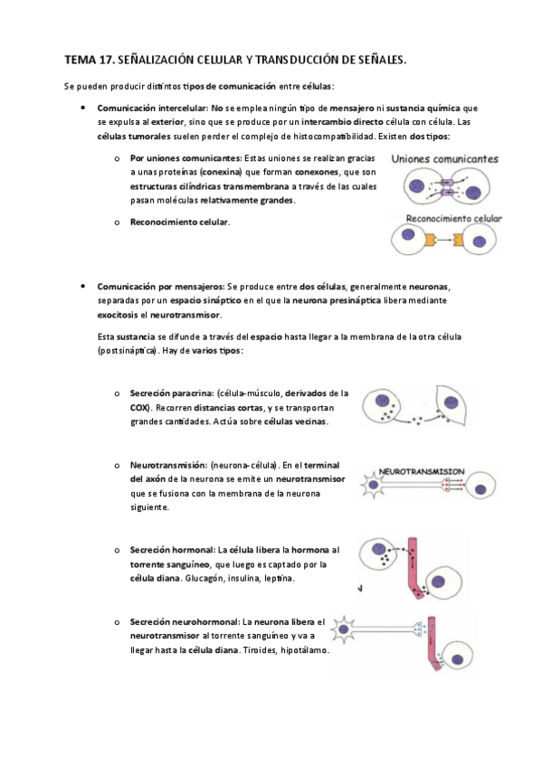 Miniatura del documento TEMA-17.-Senalizacion-celular-y-transduccion-de-senales..pdf