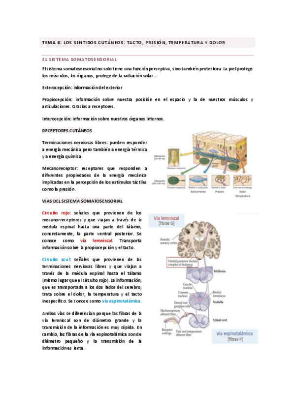 Miniatura del documento TEMA-8.pdf