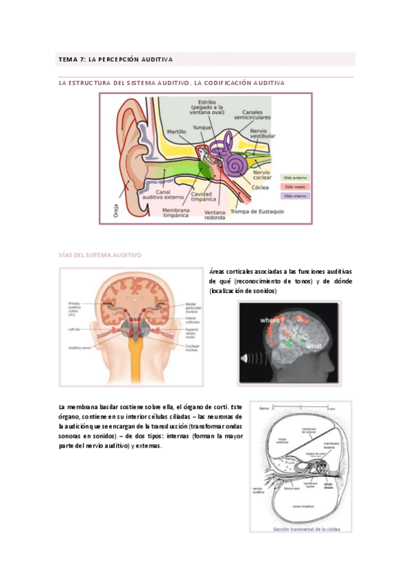 Miniatura del documento TEMA-7.pdf