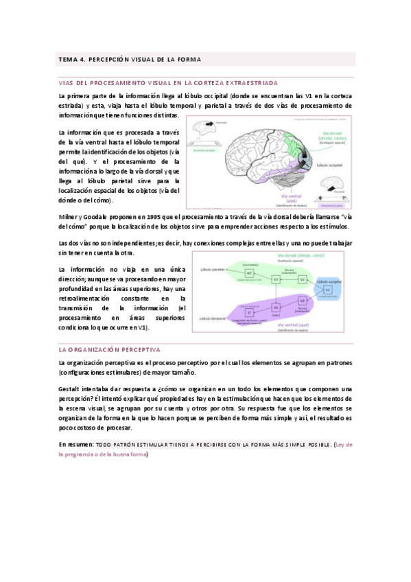 Miniatura del documento TEMA-4.pdf