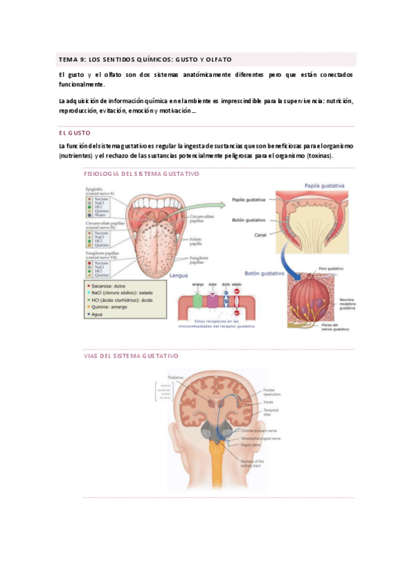 Miniatura del documento TEMA-9.pdf