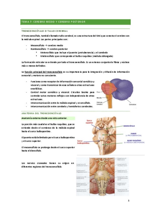 Miniatura del documento TEMAS-7-8-y-9.pdf