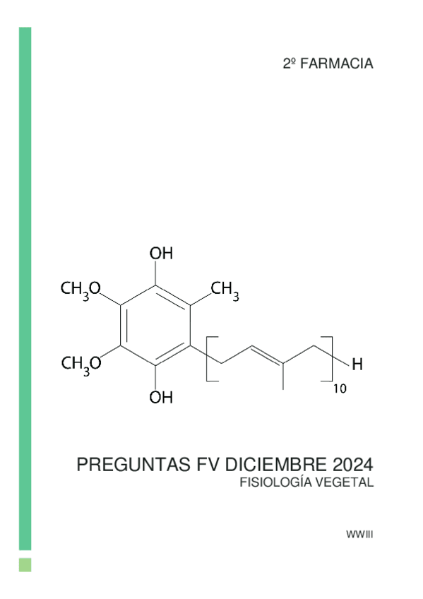 Miniatura del documento Preguntas-FV-diciembre-2024.pdf