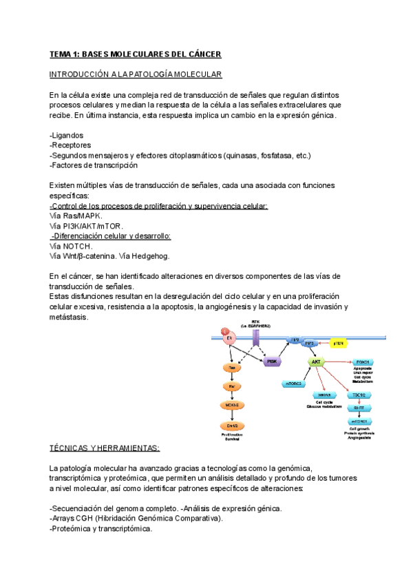 Miniatura del documento Temas-1-2-y-3.pdf