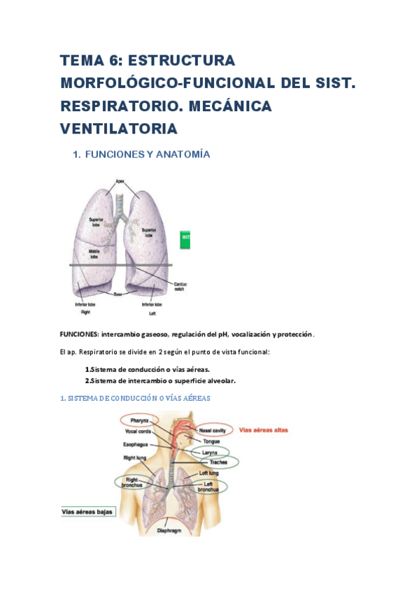 Miniatura del documento TEMA-6-FISIO-II.pdf